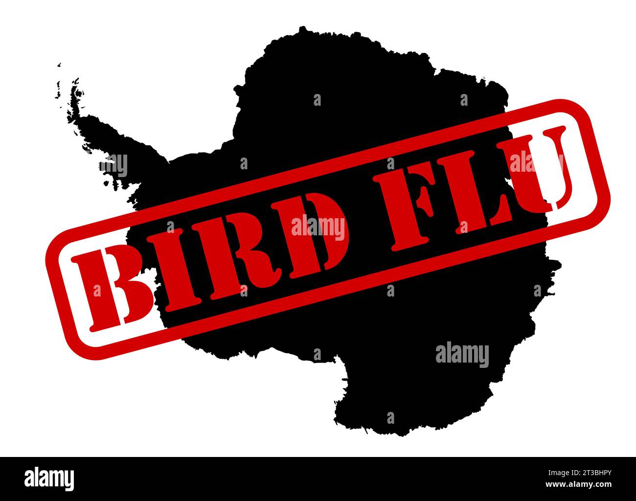 Illustrazione vettoriale dell'influenza aviaria H5N1 osservata per la prima volta nel continente antartico Foto Stock Illustrazione vettoriale dell'influenza aviaria H5N1 osservata per la prima volta nel continente antartico Foto Stock