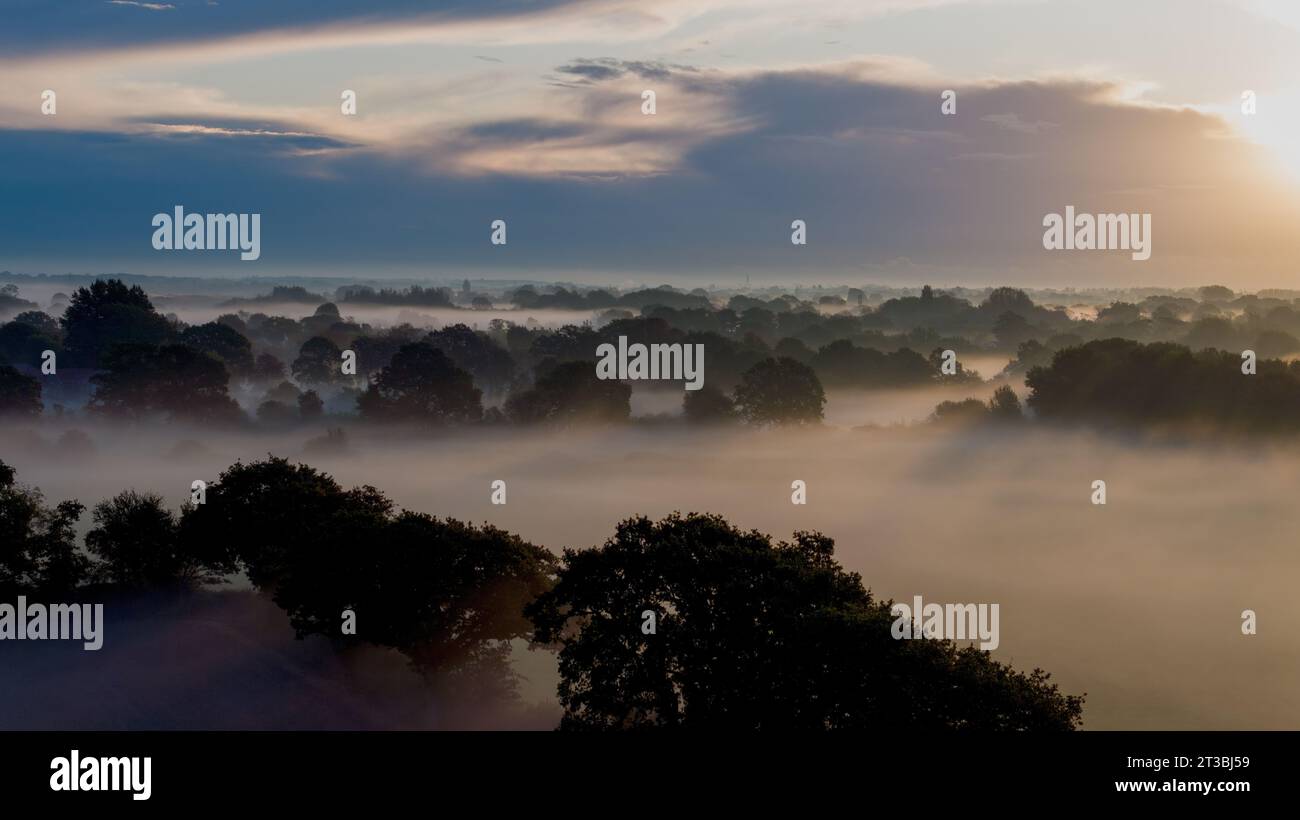 La nebbia o la nebbia si insinuano presto nei campi e nei boschi vicino a Emsworth nell'Hampshire. Luce solare brillante che illumina la scena e ombre lunghe. Foto Stock