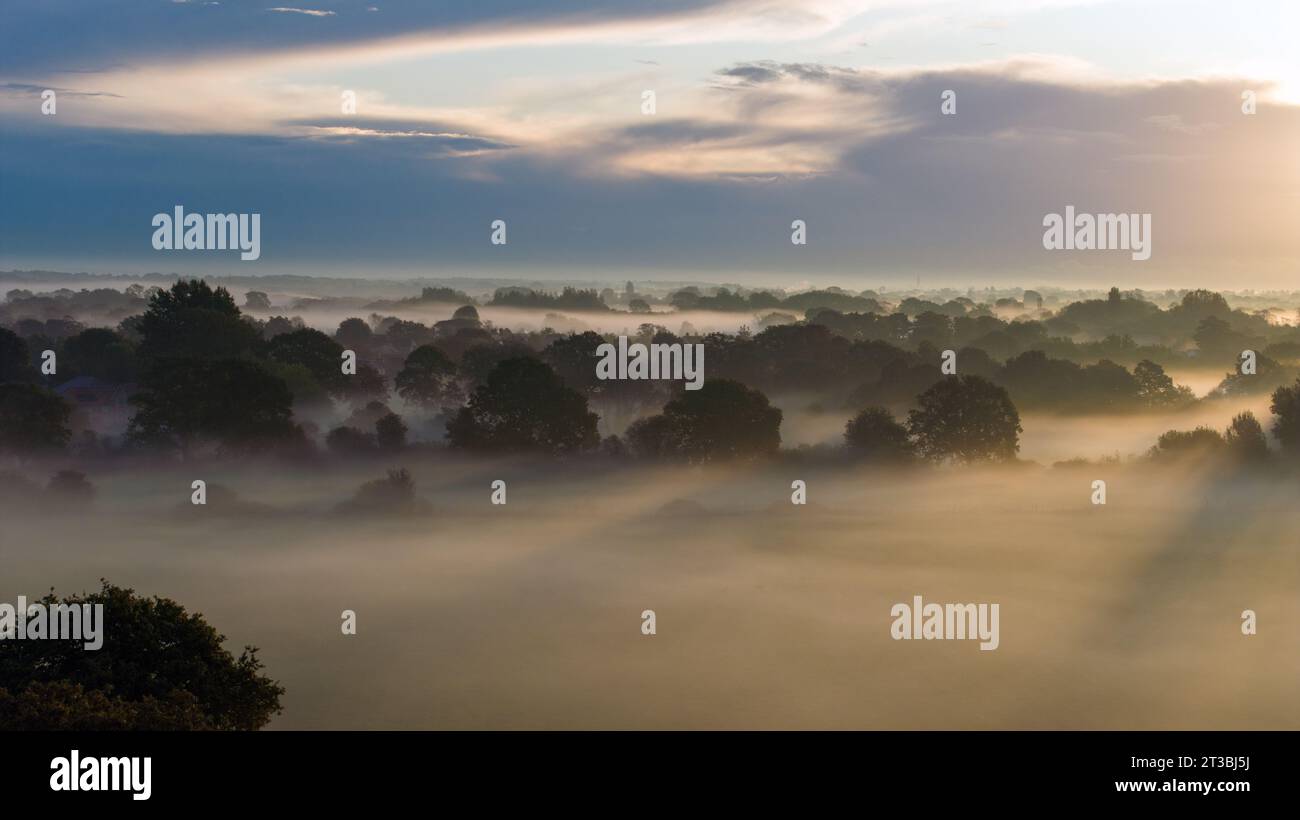 La nebbia o la nebbia si insinuano presto nei campi e nei boschi vicino a Emsworth nell'Hampshire. Luce solare brillante che illumina la scena e ombre lunghe. Foto Stock