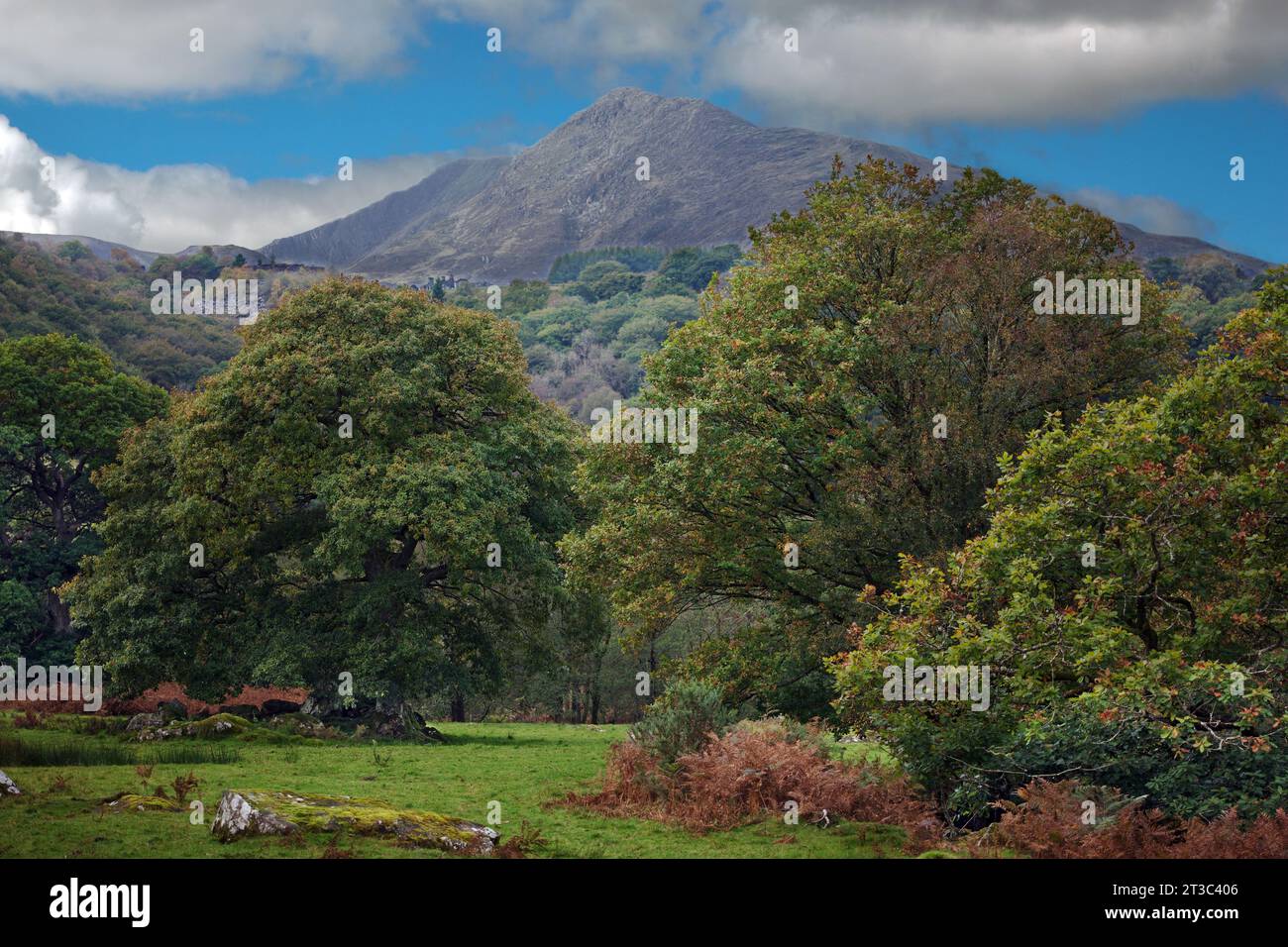 Llugwy Valley e River si trovano nel Parco Nazionale di Snowdonia nel Galles del Nord. Sullo sfondo si può vedere la montagna Moel Siabod. Foto Stock