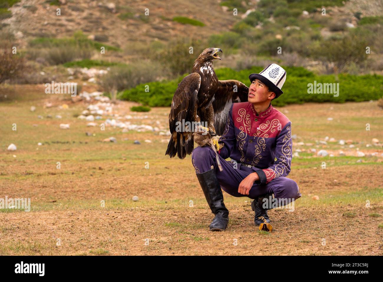 Cacciatore del Kirghizistan con Aquila reale addestrata (Aquila chrysaetos), lago Song kol, regione di Naryn, Kirghizistan Foto Stock