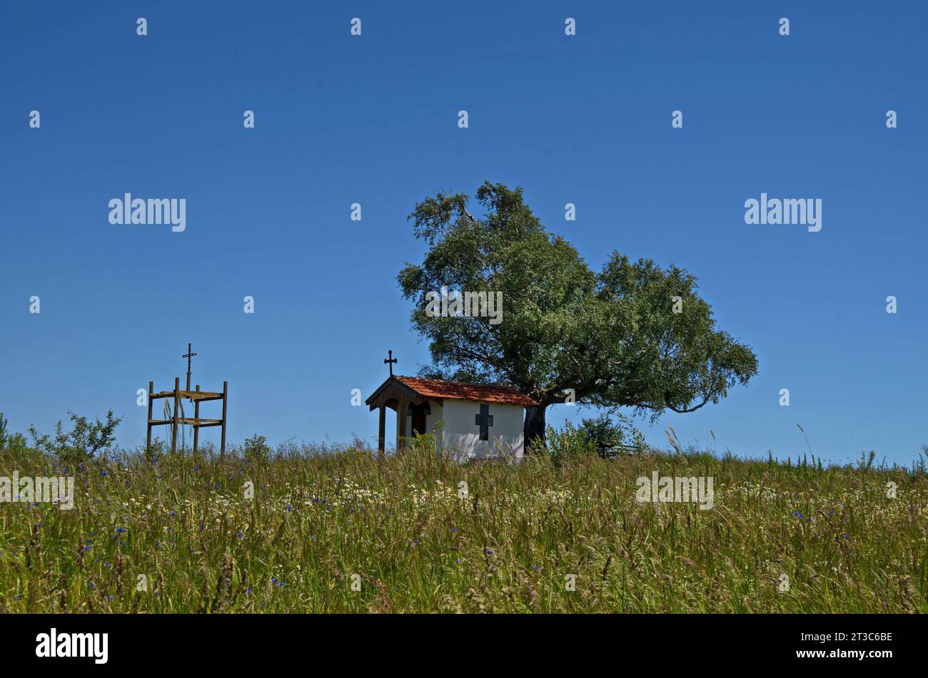 Splendido paesaggio con venerabile betulla e vecchia cappella, situato nel monte Plana, in Bulgaria Foto Stock