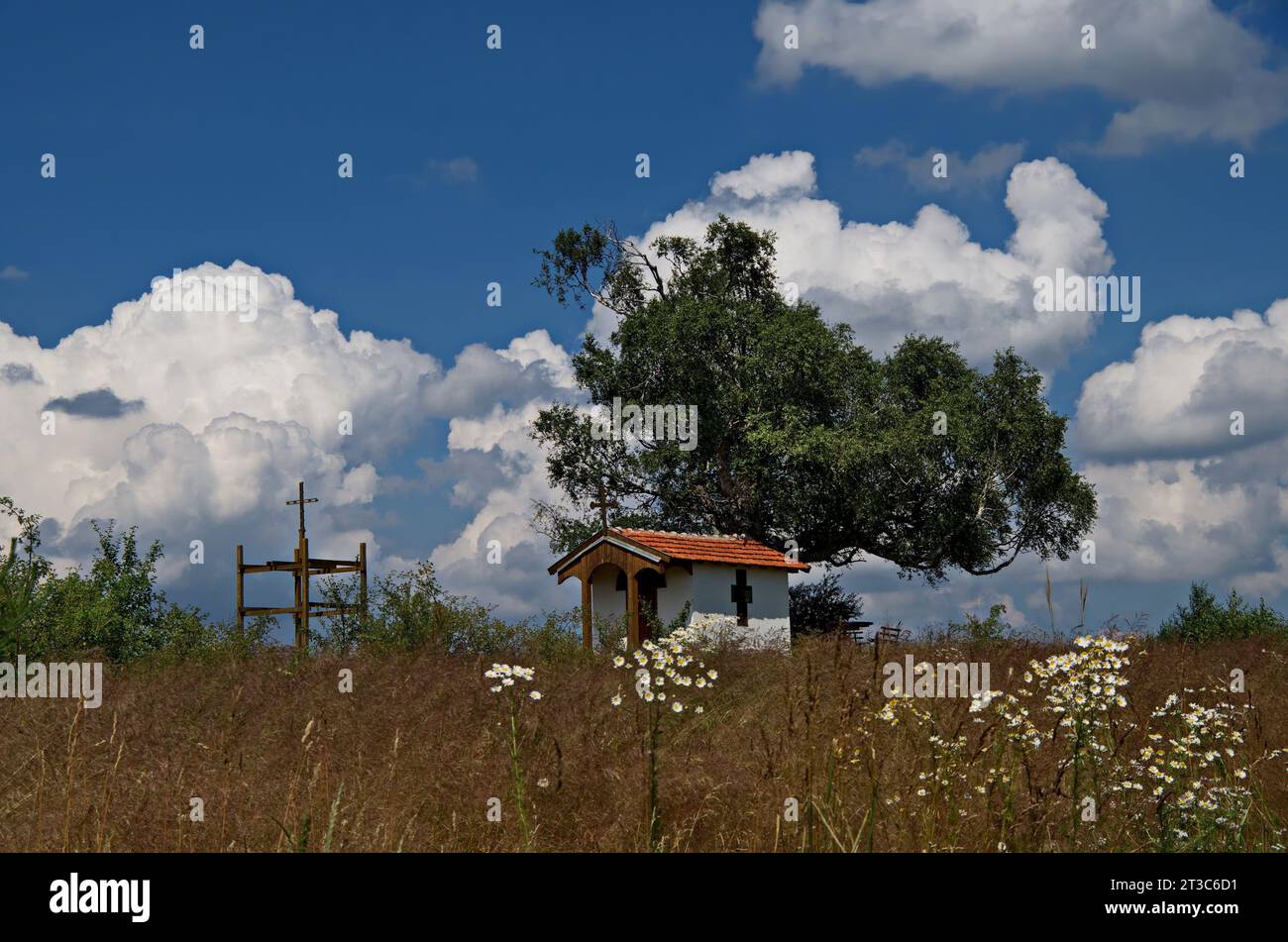 Splendido paesaggio con venerabile betulla e vecchia cappella, situato nel monte Plana, in Bulgaria Foto Stock