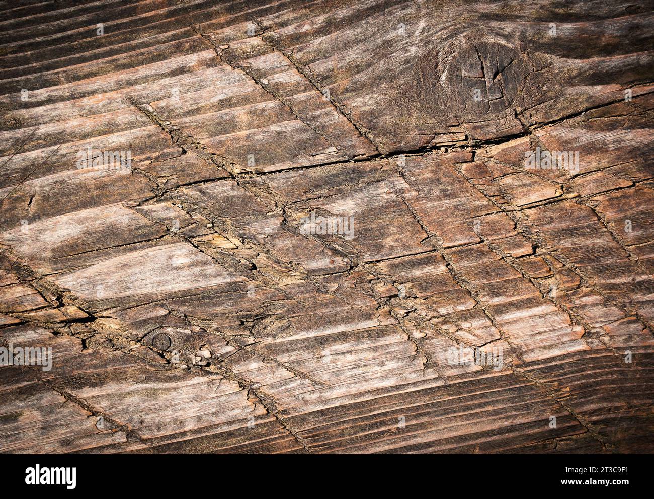 sfondo astratto o dettaglio texture di un vecchio pannello di abete rosso tagliato Foto Stock