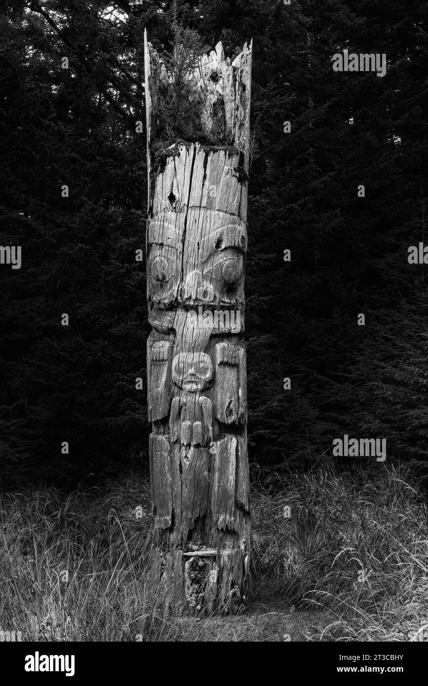 Palo totem presso Sgang Gwaay Llnagaay, sito patrimonio dell'umanità dell'UNESCO, un antico villaggio sito nel Parco Nazionale di Gwaii Haanas, Haida Gwaii, col Foto Stock