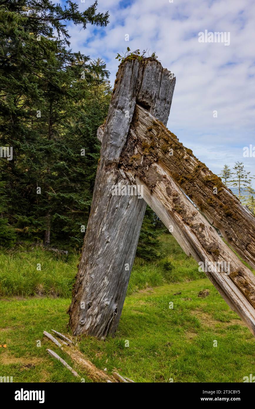 Resti di una dimora solitaria presso Sgang Gwaay Llnagaay, sito patrimonio dell'umanità dell'UNESCO, un antico villaggio situato nella riserva del Parco Nazionale di Gwaii Haanas, Haida Gwaii, B. Foto Stock