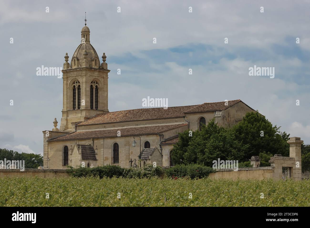 Una chiesa color crema tra le vigne di Bordeaux Foto Stock