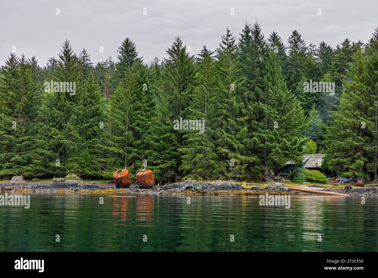 Vecchi e arrugginiti digestori di ossa di balena e blubber lasciati alla vecchia Rose Harbour Whaling Station, nella Gwaii Haanas National Park Reserve, Haida GWA Foto Stock