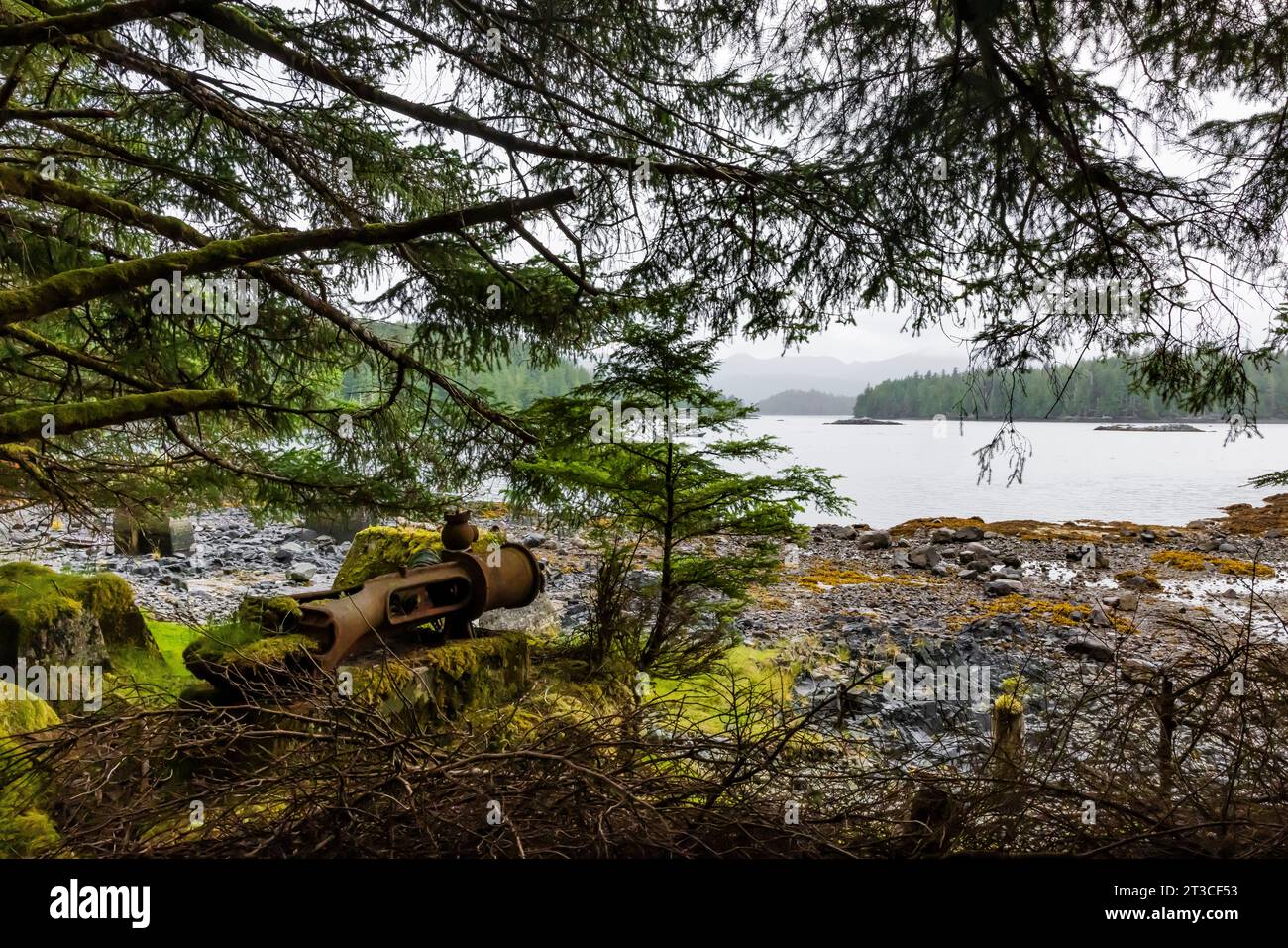 Vecchie attrezzature per la lavorazione delle balene arrugginite lasciate alla vecchia Rose Harbour Whaling Station, nel Gwaii Haanas National Park Reserve, Haida Gwaii, BR Foto Stock