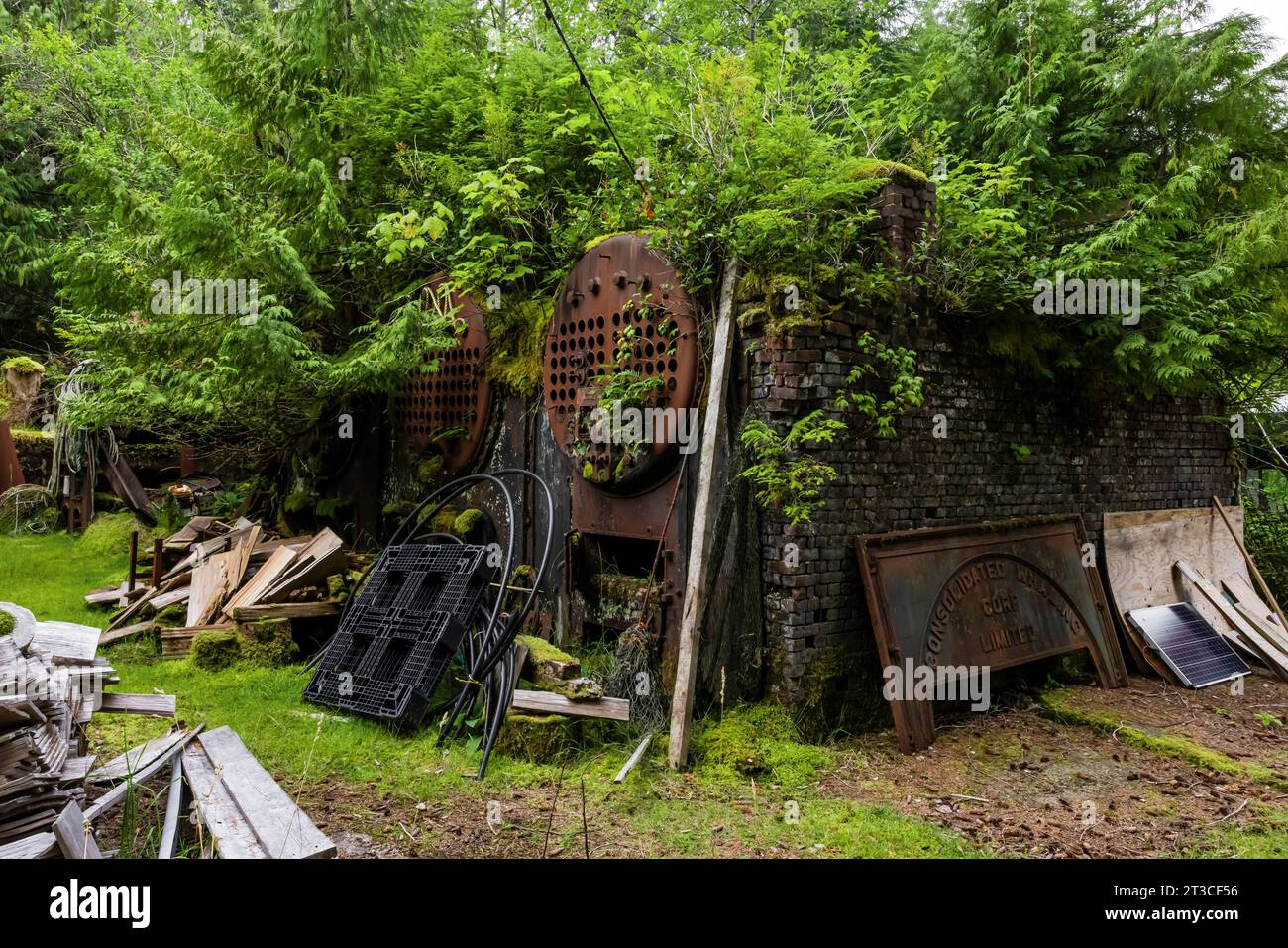 Vecchie attrezzature per la lavorazione delle balene arrugginite lasciate alla vecchia Rose Harbour Whaling Station, nel Gwaii Haanas National Park Reserve, Haida Gwaii, BR Foto Stock