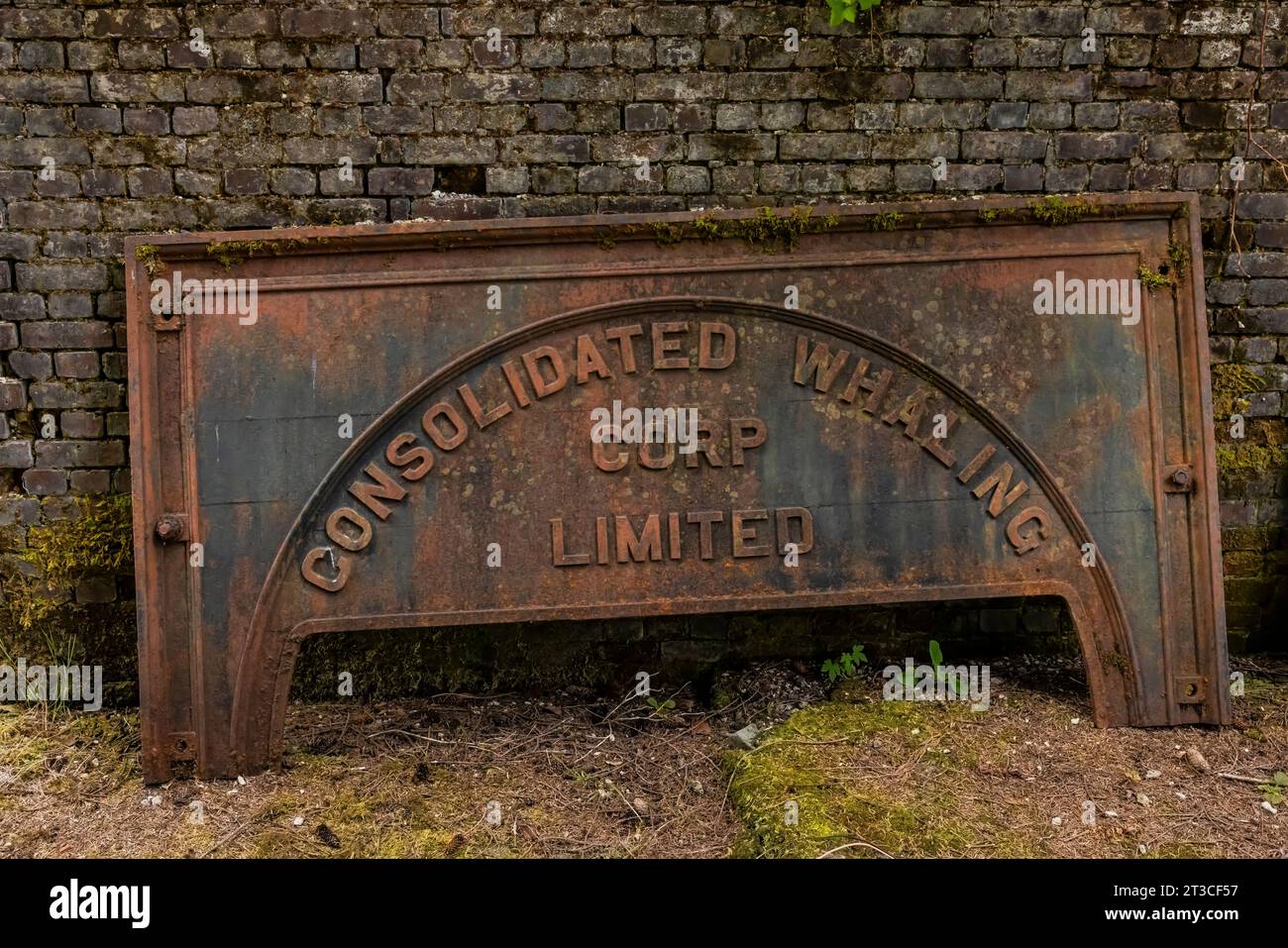 Vecchie attrezzature per la lavorazione delle balene arrugginite lasciate alla vecchia Rose Harbour Whaling Station, nel Gwaii Haanas National Park Reserve, Haida Gwaii, BR Foto Stock