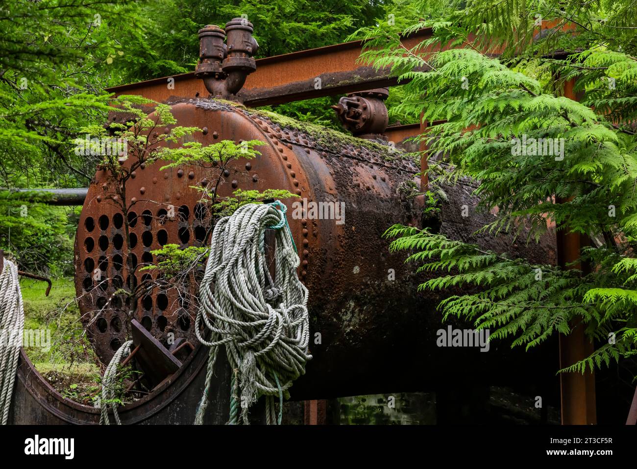 Vecchie attrezzature per la lavorazione delle balene arrugginite lasciate alla vecchia Rose Harbour Whaling Station, nel Gwaii Haanas National Park Reserve, Haida Gwaii, BR Foto Stock