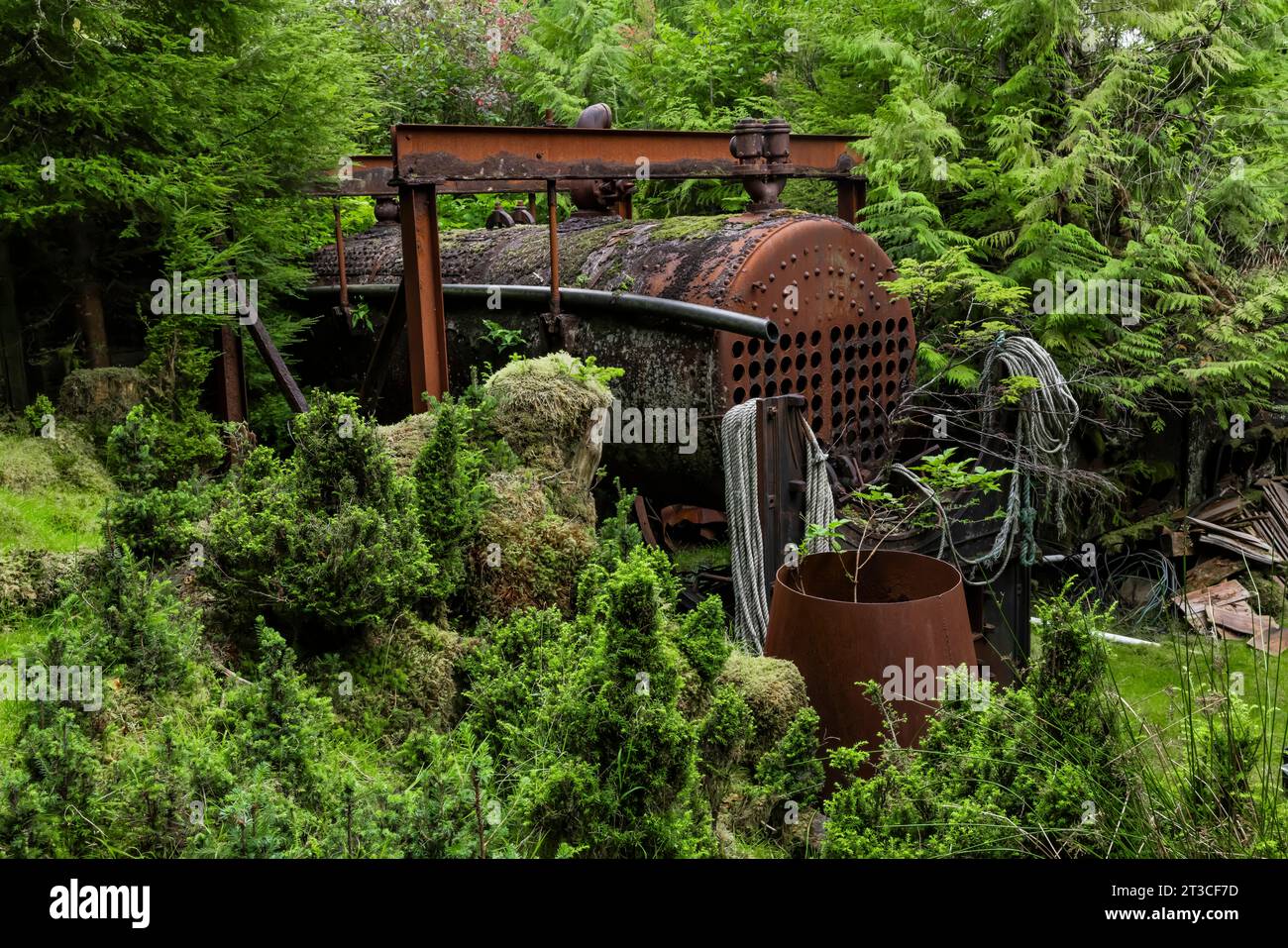 Vecchie attrezzature per la lavorazione delle balene arrugginite lasciate alla vecchia Rose Harbour Whaling Station, nel Gwaii Haanas National Park Reserve, Haida Gwaii, BR Foto Stock