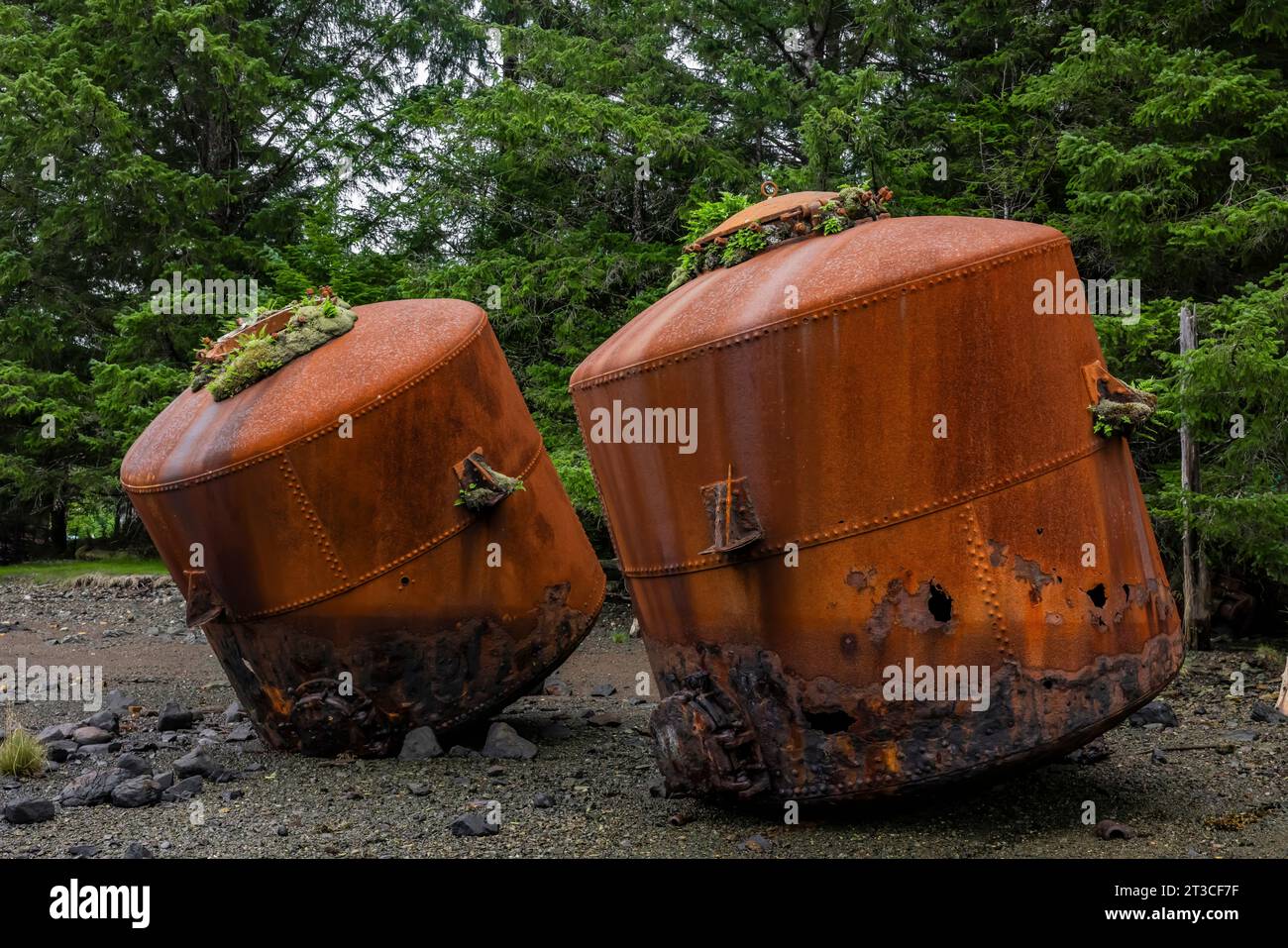 Vecchi e arrugginiti digestori di ossa di balena e blubber lasciati alla vecchia Rose Harbour Whaling Station, nella Gwaii Haanas National Park Reserve, Haida GWA Foto Stock
