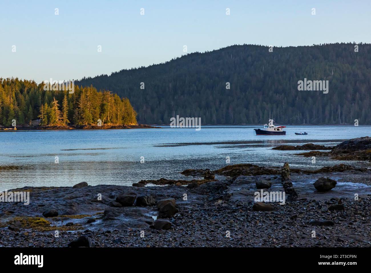 Tranquilla mattinata presso la vecchia stazione delle balene di Rose Harbour sull'isola di Kunghit, nella riserva del Parco Nazionale di Gwaii Haanas, Haida Gwaii, British Columbia, Cana Foto Stock