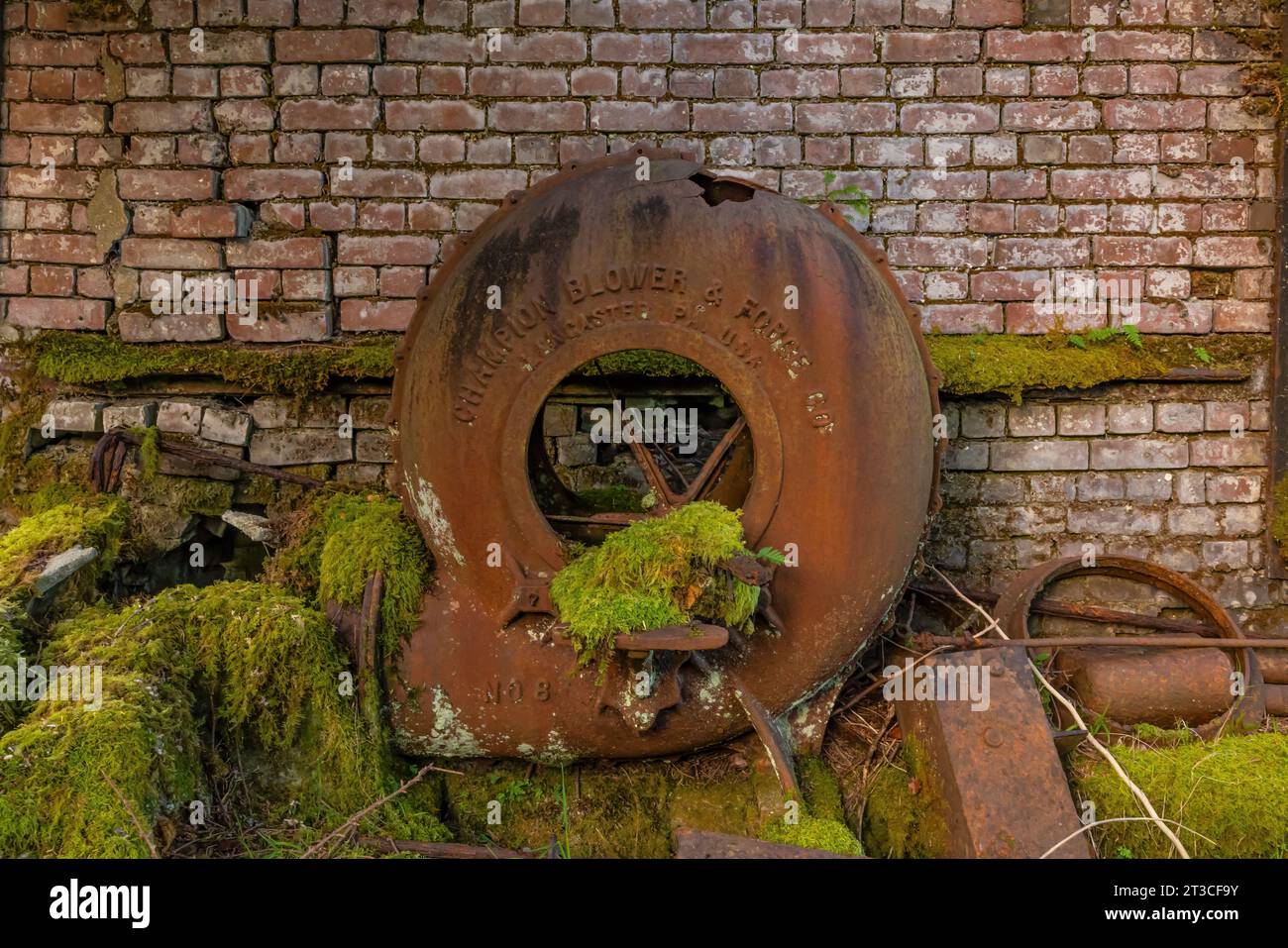 Vecchie attrezzature per la lavorazione delle balene arrugginite lasciate alla vecchia Rose Harbour Whaling Station, nel Gwaii Haanas National Park Reserve, Haida Gwaii, BR Foto Stock