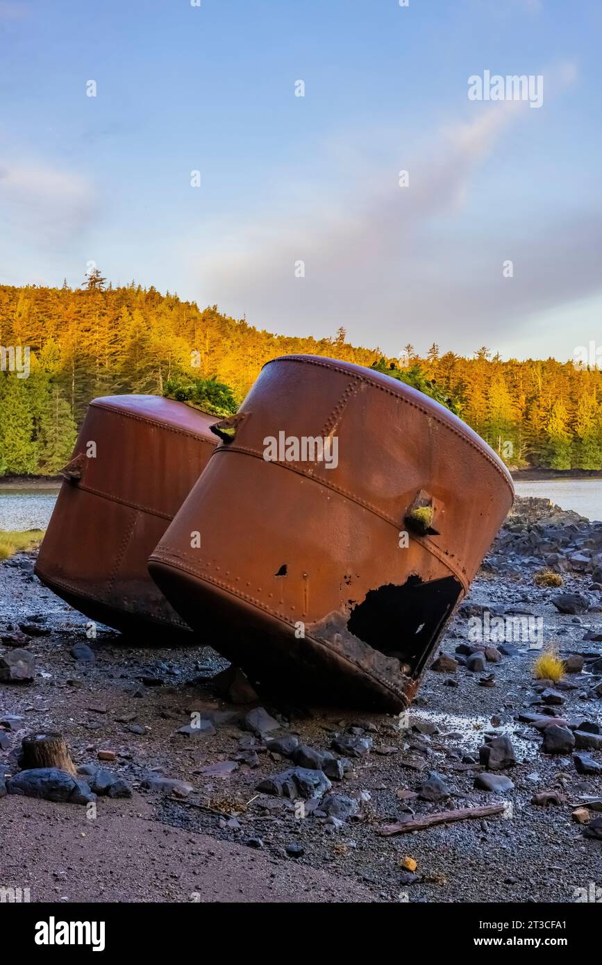 Vecchi e arrugginiti digestori di ossa di balena e blubber lasciati alla vecchia Rose Harbour Whaling Station, nella Gwaii Haanas National Park Reserve, Haida GWA Foto Stock