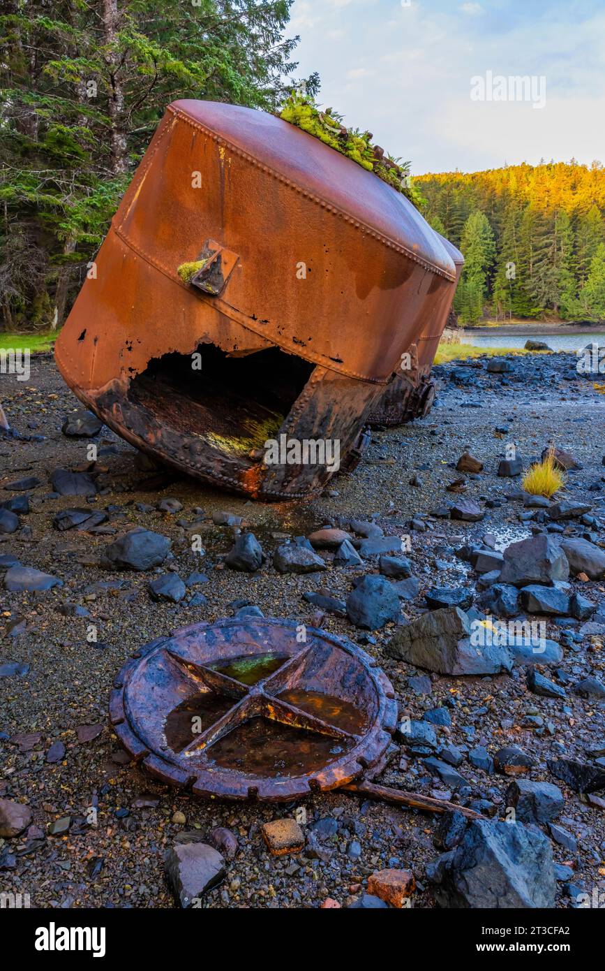 Vecchi e arrugginiti digestori di ossa di balena e blubber lasciati alla vecchia Rose Harbour Whaling Station, nella Gwaii Haanas National Park Reserve, Haida GWA Foto Stock