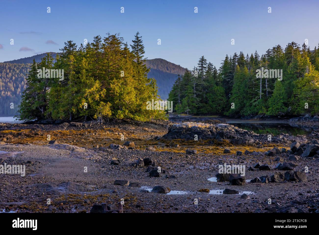 Tranquilla mattinata presso la vecchia stazione delle balene di Rose Harbour sull'isola di Kunghit, nella riserva del Parco Nazionale di Gwaii Haanas, Haida Gwaii, British Columbia, Cana Foto Stock