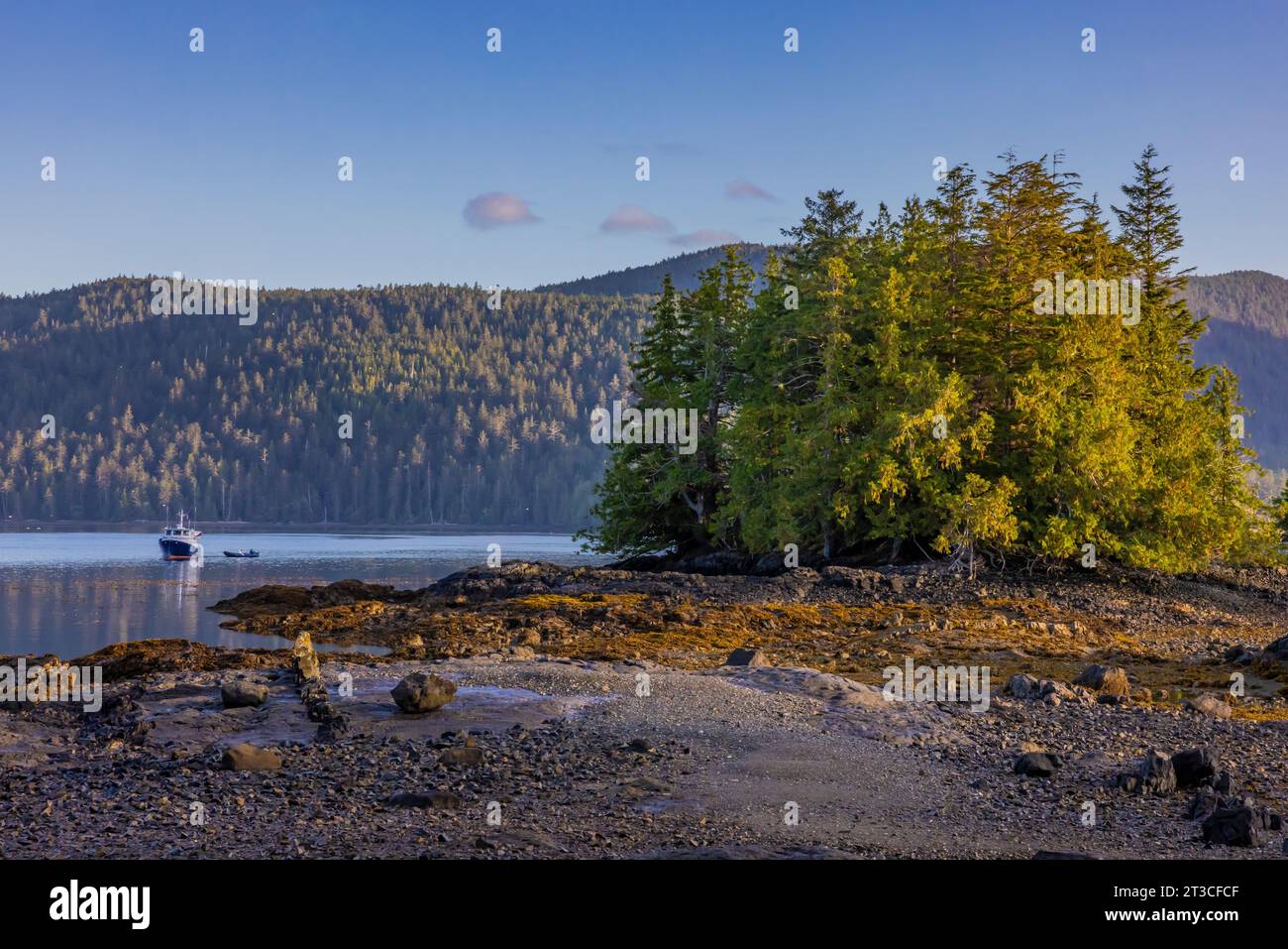 Tranquilla mattinata presso la vecchia stazione delle balene di Rose Harbour sull'isola di Kunghit, nella riserva del Parco Nazionale di Gwaii Haanas, Haida Gwaii, British Columbia, Cana Foto Stock