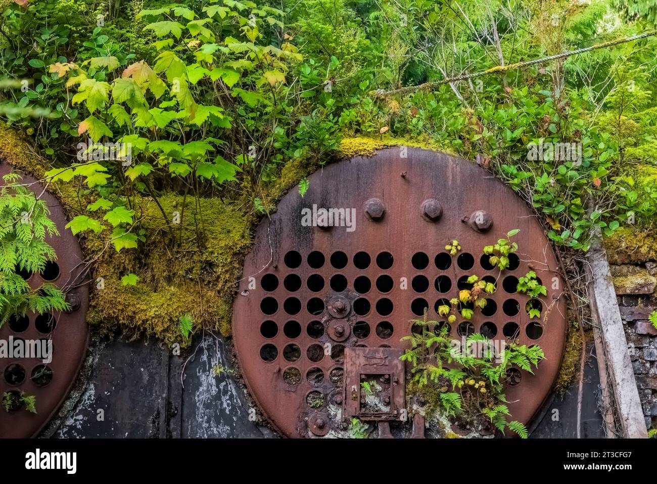 Vecchie attrezzature per la lavorazione delle balene arrugginite lasciate alla vecchia Rose Harbour Whaling Station, nel Gwaii Haanas National Park Reserve, Haida Gwaii, BR Foto Stock
