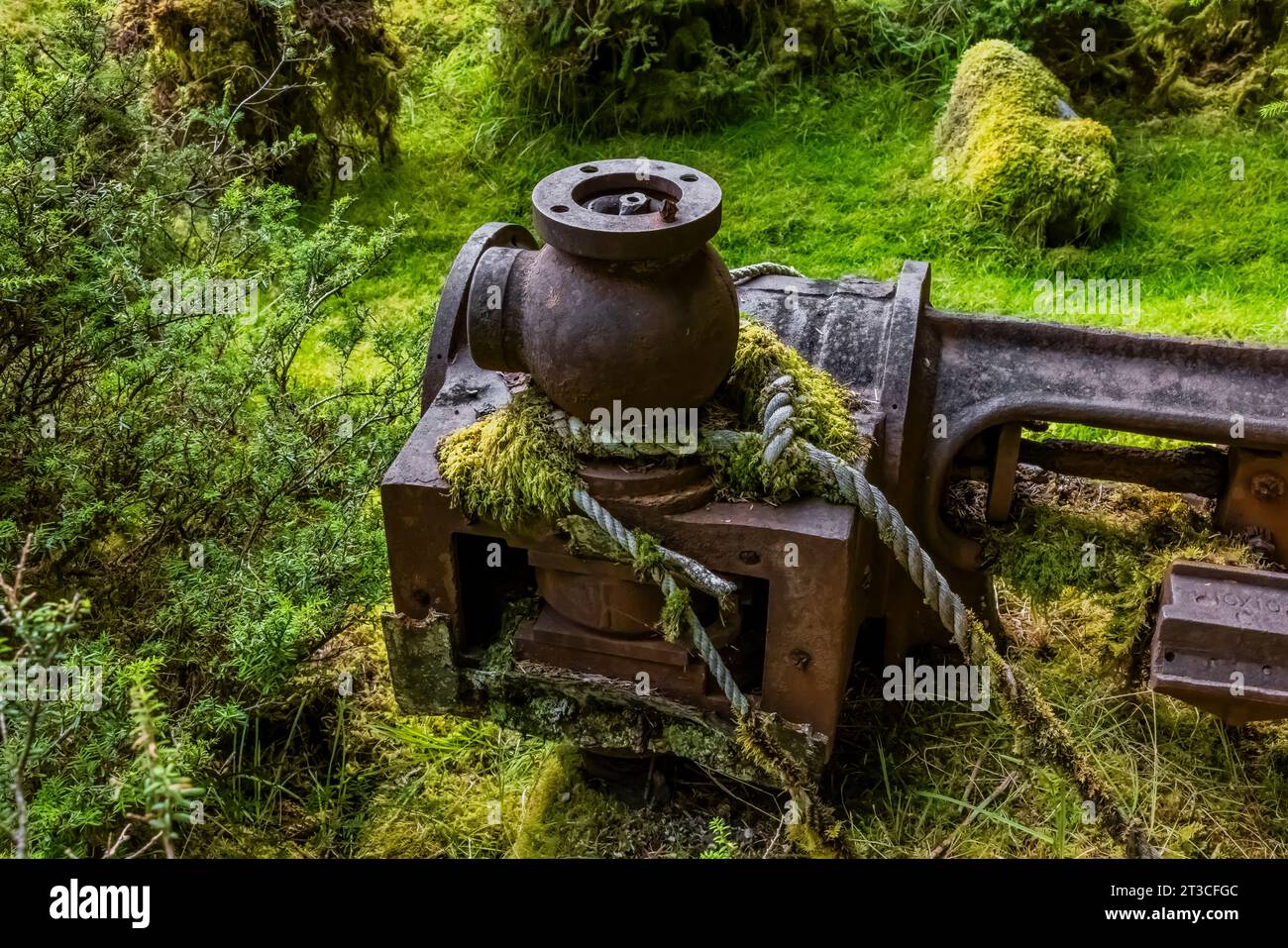 Vecchie attrezzature per la lavorazione delle balene arrugginite lasciate alla vecchia Rose Harbour Whaling Station, nel Gwaii Haanas National Park Reserve, Haida Gwaii, BR Foto Stock
