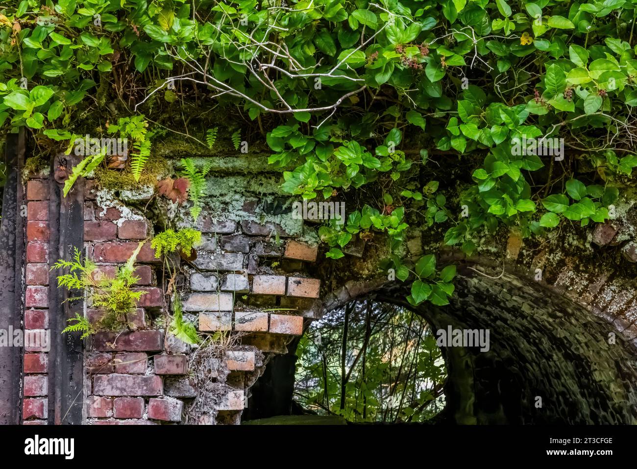 Vecchie attrezzature per la lavorazione delle balene arrugginite lasciate alla vecchia Rose Harbour Whaling Station, nel Gwaii Haanas National Park Reserve, Haida Gwaii, BR Foto Stock