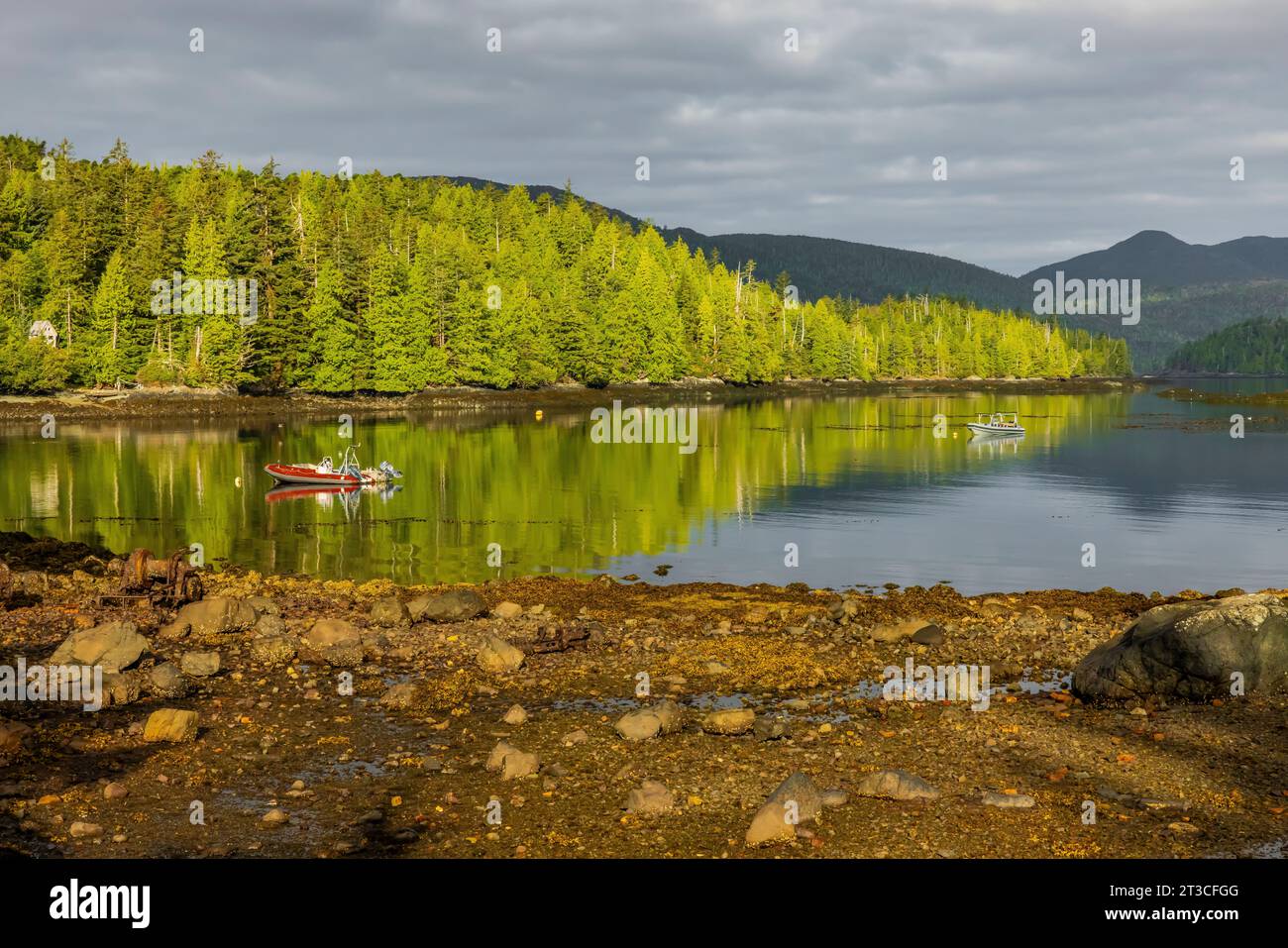Tranquilla mattinata presso la vecchia stazione delle balene di Rose Harbour sull'isola di Kunghit, nella riserva del Parco Nazionale di Gwaii Haanas, Haida Gwaii, British Columbia, Cana Foto Stock