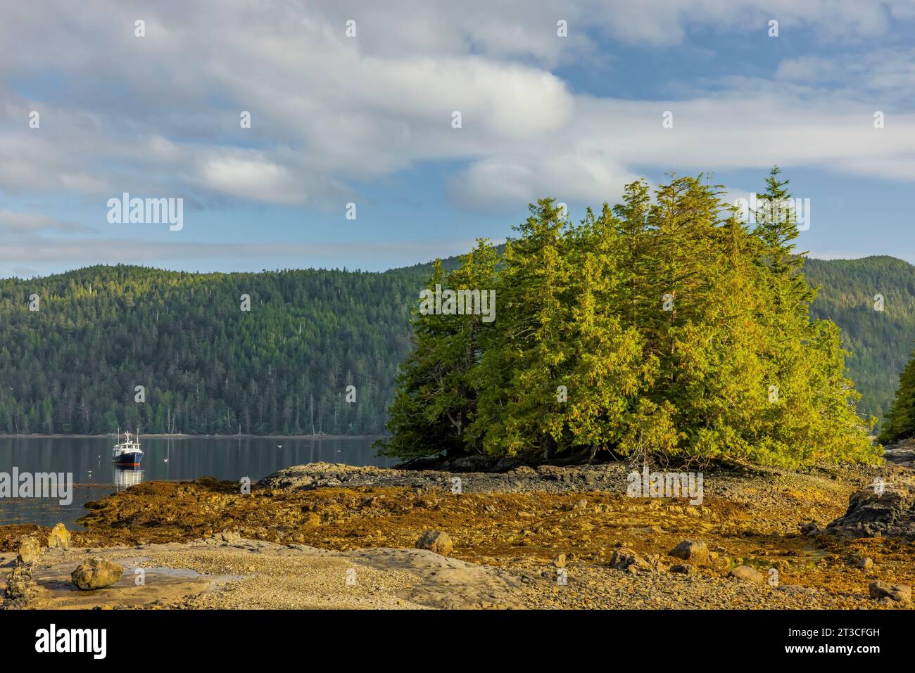 Tranquilla mattinata presso la vecchia stazione delle balene di Rose Harbour sull'isola di Kunghit, nella riserva del Parco Nazionale di Gwaii Haanas, Haida Gwaii, British Columbia, Cana Foto Stock