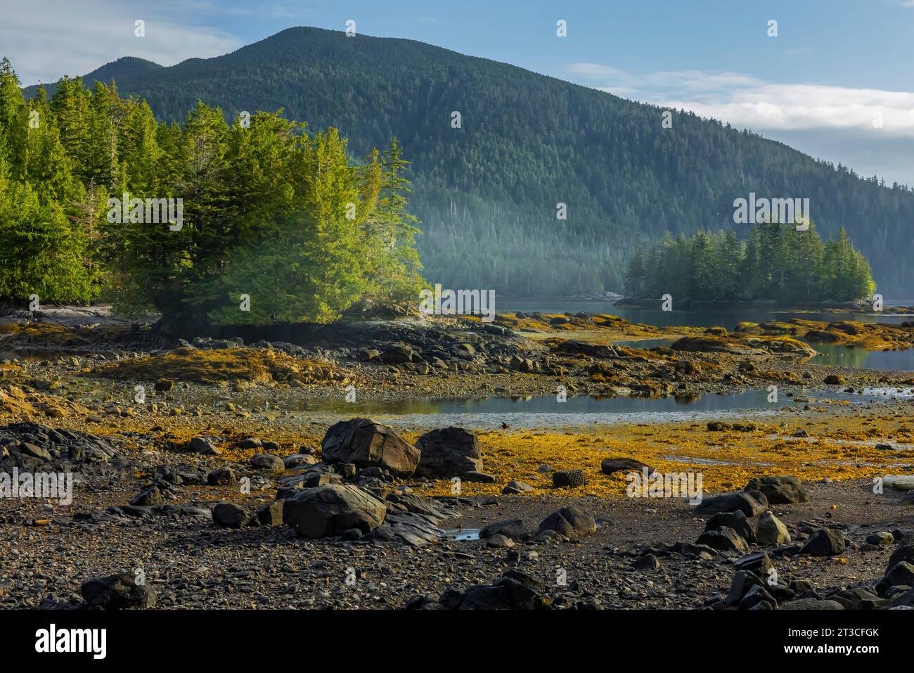 Tranquilla mattinata presso la vecchia stazione delle balene di Rose Harbour sull'isola di Kunghit, nella riserva del Parco Nazionale di Gwaii Haanas, Haida Gwaii, British Columbia, Cana Foto Stock