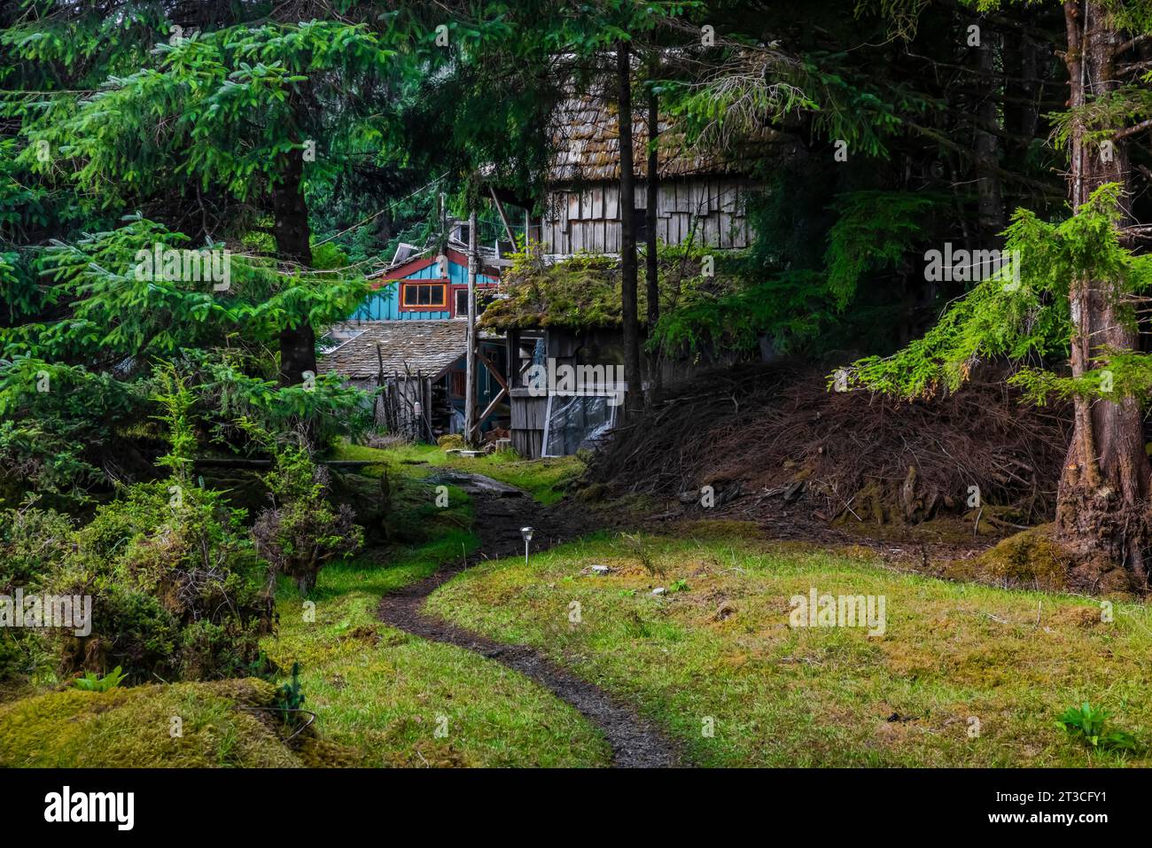 Case presso la vecchia Rose Harbour Whaling Station, nel Gwaii Haanas National Park Reserve, Haida Gwaii, British Columbia, Canada [nessun rilascio di proprietà; edi Foto Stock