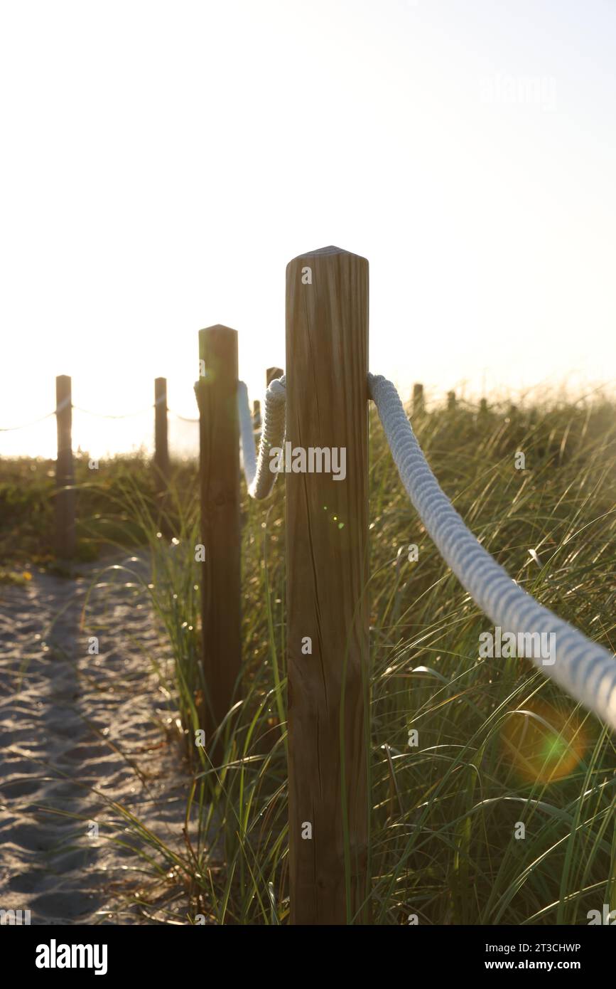 Alba della spiaggia Foto Stock