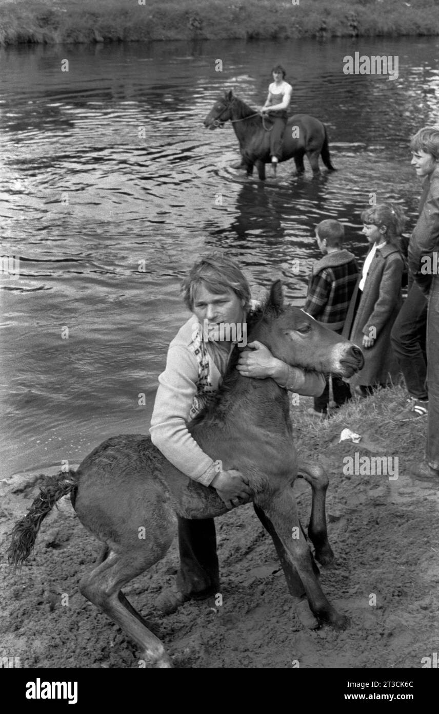 River Eden, Appleby a Westmorland Gypsy a prendere un pony o un fallo che verrà lavato nel fiume Eden. Appleby a Westmorland, fiera dei cavalli gitani Cumbria, Inghilterra circa giugno 1981 1980s UK HOMER SYKES Foto Stock