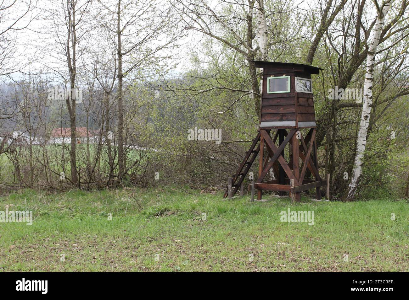 Hunter sta in una siepe di campo, bassa Austria, Austria Foto Stock