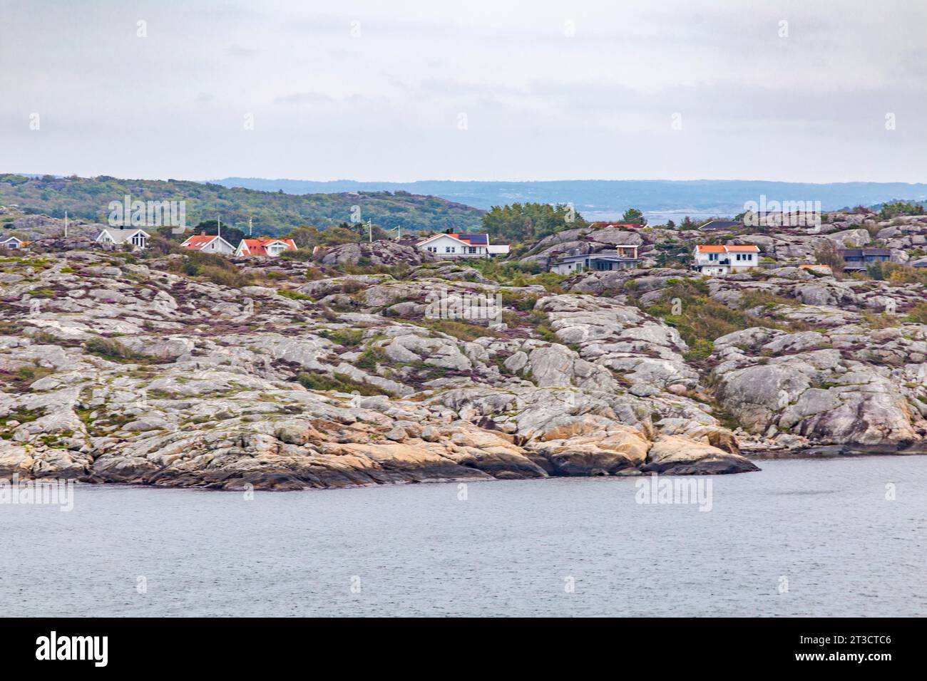 Case e brughiera fiorita sull'isola di Galteroe, Arcipelago di Gothenburg, Svezia Foto Stock