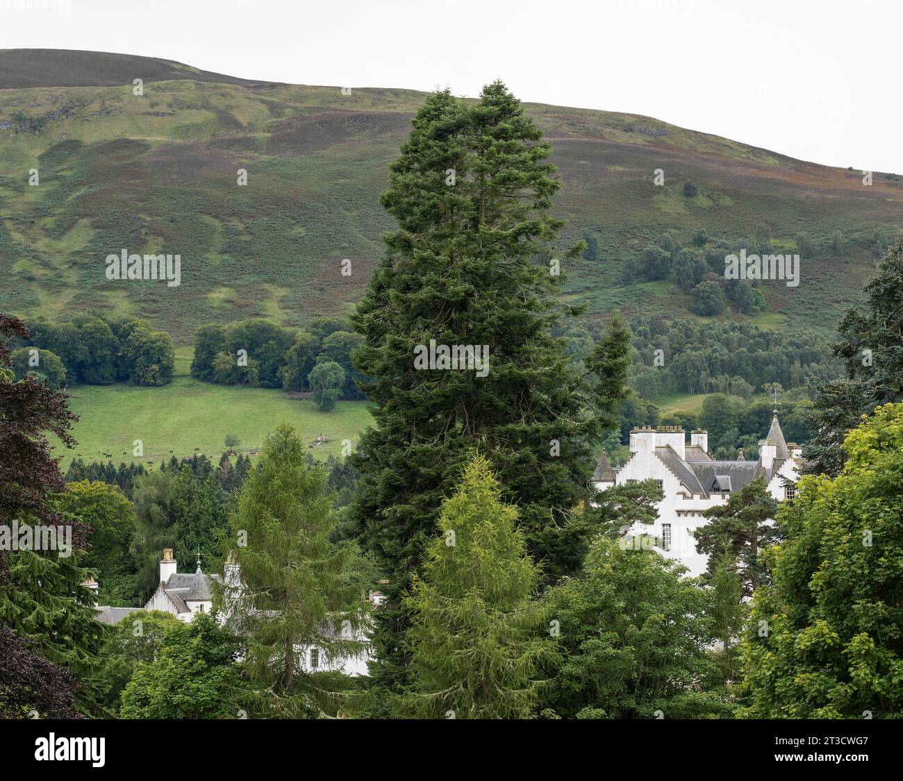 Blair Castle, Blair Atholl, Perth and Kinross, Scotland, Regno Unito Foto Stock