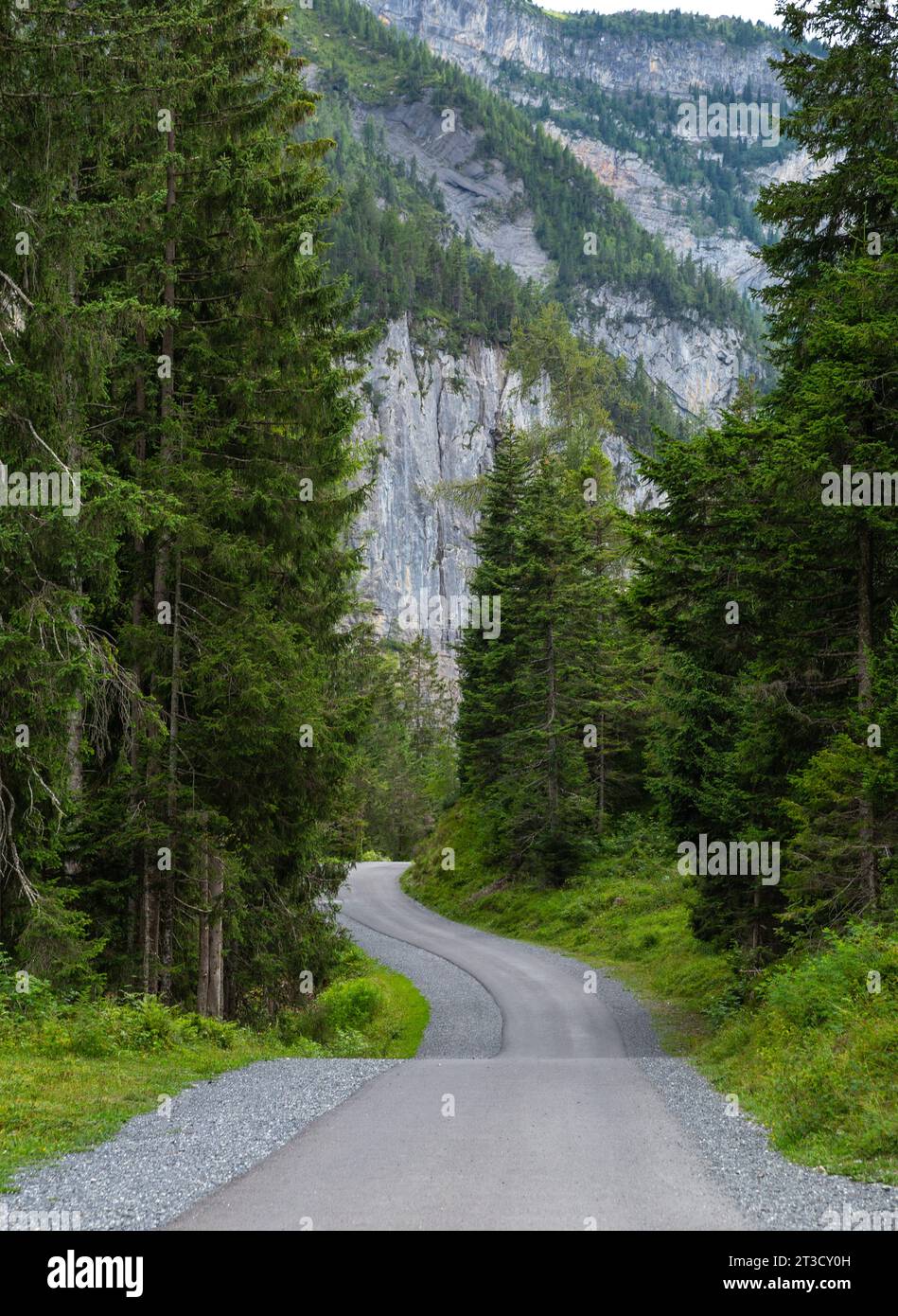 Una strada curva nella foresta montana delle Alpi, Kandersteg, Svizzera, concetto di successo Foto Stock