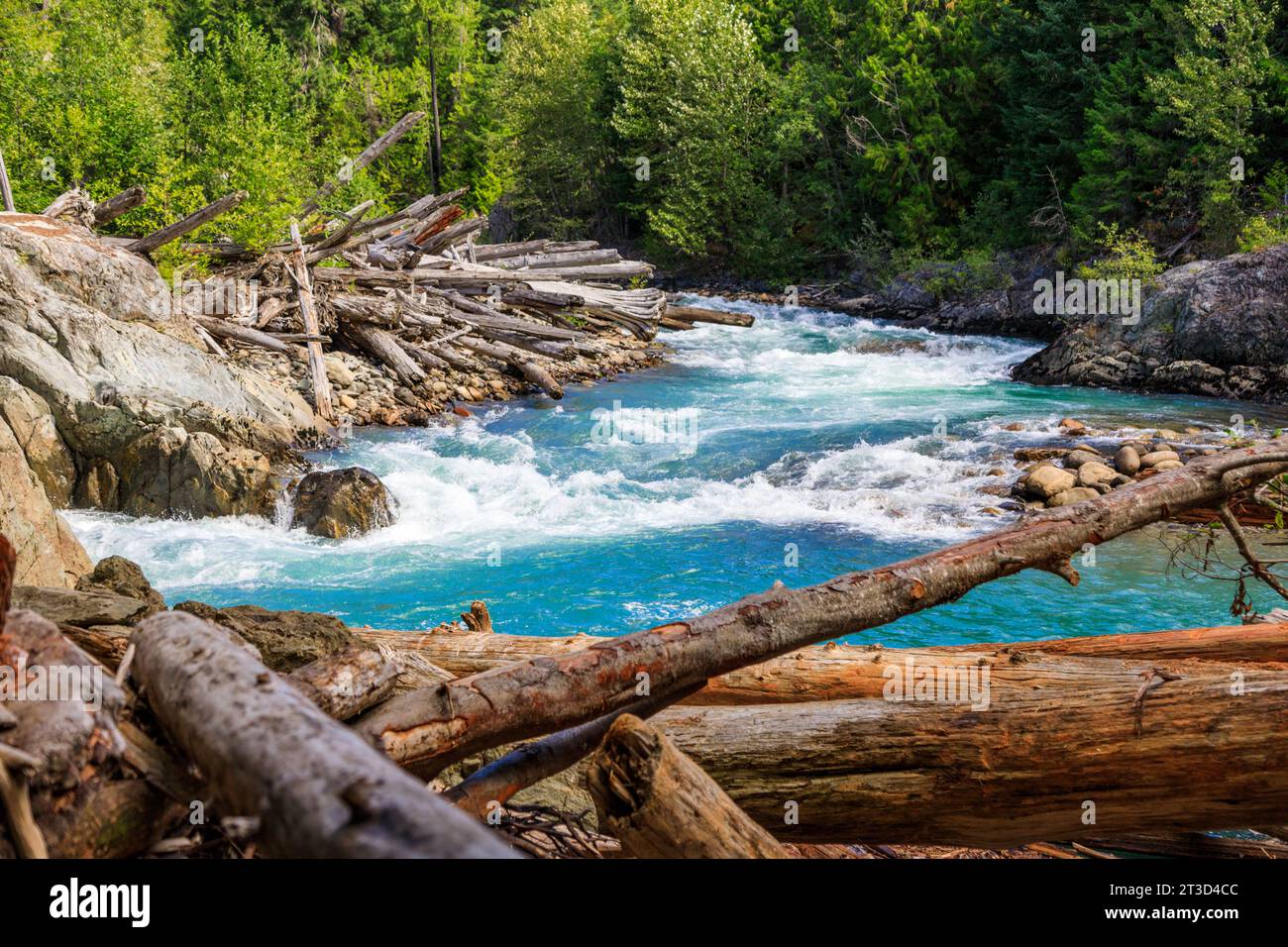 Tronchi lavati sulle rive del fiume Cheakamus, in rapido movimento. Estate alla periferia di Whistler, British Columbia, Canada. Foto Stock