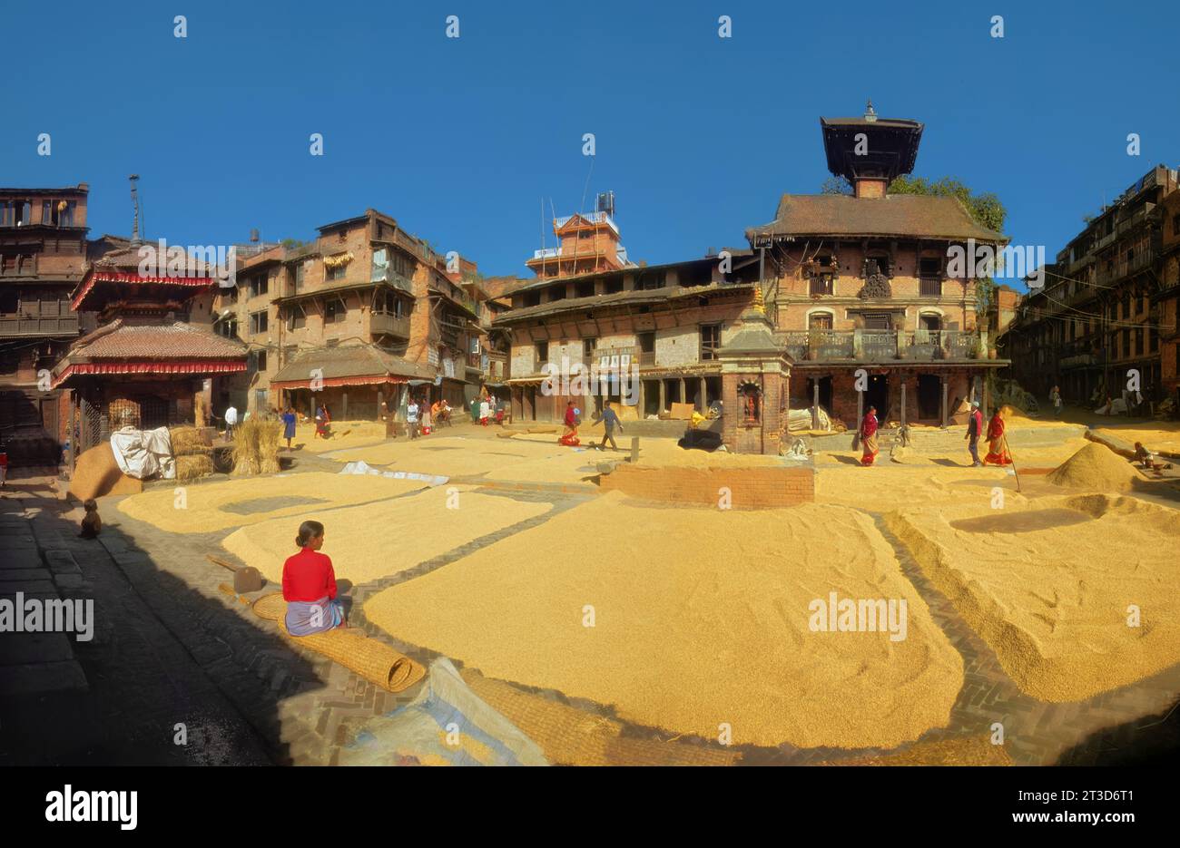 Il grano è stato preparato per essere essiccato in primo piano a Pottery Square, Bhaktapur, Kathmandu Valley, Nepal Foto Stock