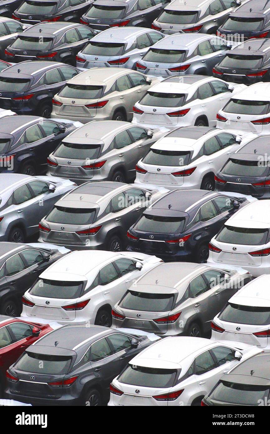 SUV e automobili Lexus stoccati in un'area di deposito veicoli presso il porto europeo di Zeebrugge in attesa della distribuzione in tutta l'UE. Foto Stock