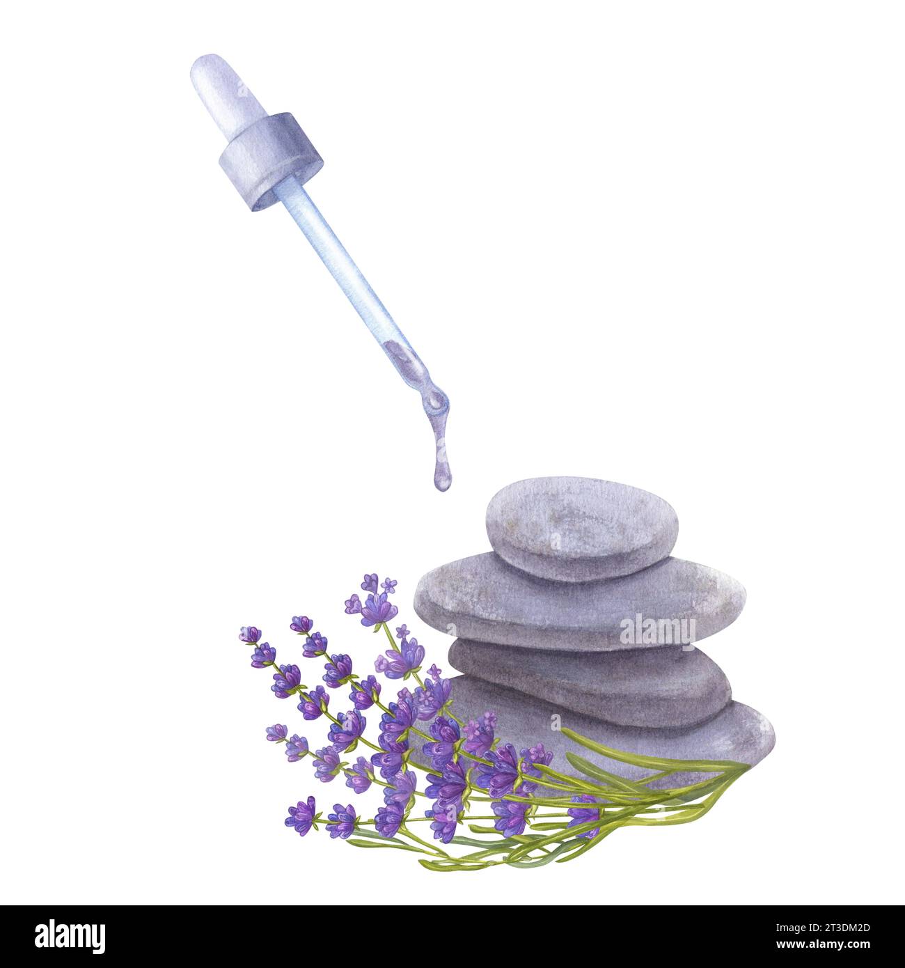 Gocce di olio essenziale dalla pipetta. Idromassaggio con ciuffi di lavanda e piramidi di pietre. Massaggio, aromaterapia, essenziale. Disegno a mano dell'acquerello Foto Stock