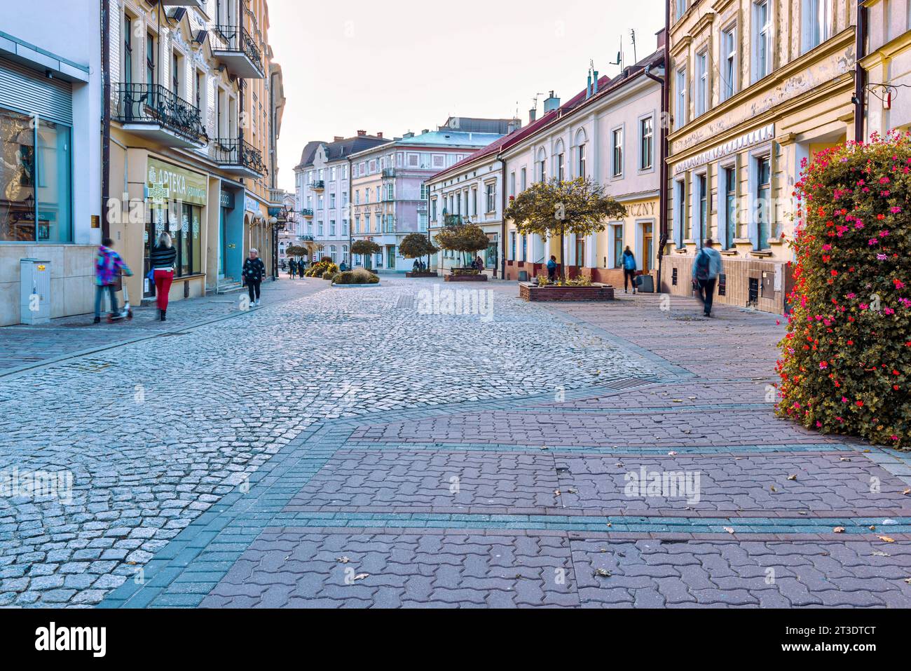 La città di Tarnow non è solo la bellezza unica della città vecchia, che ha conservato le strade medievali, i capolavori architettonici del gotico, della Polonia. Foto Stock