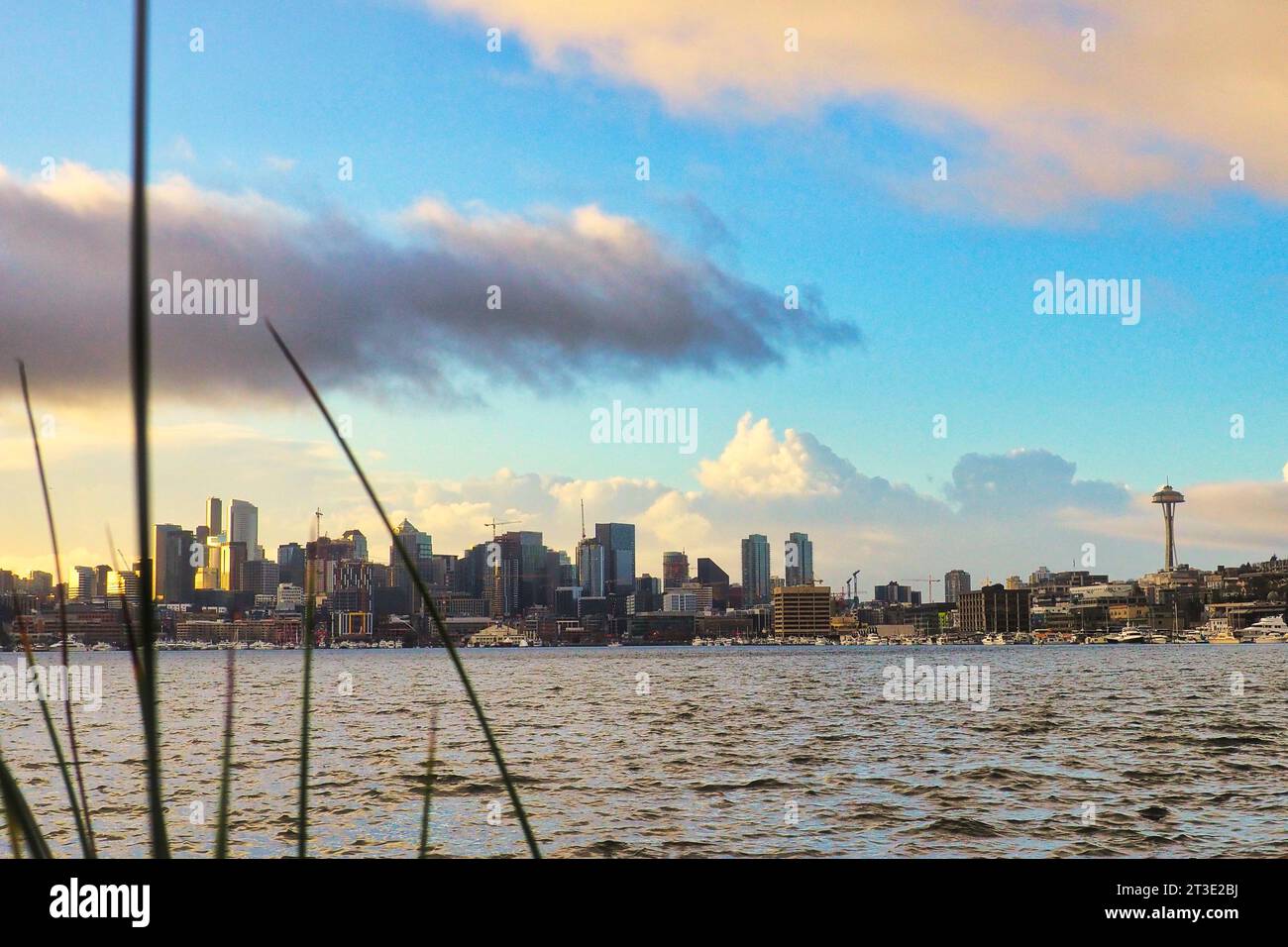 Splendida vista sul centro di Seattle a gennaio da tutta la Lake Union, con l'iconico Space Needle. Preso dal gas Works Park la mattina presto. Foto Stock