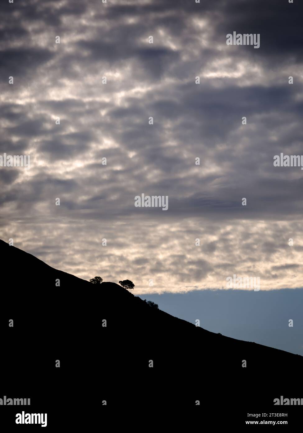 Lo skyline sopra il prato di Muker, con i suoi fienili e i muretti a secco, la firma di questi famosi prati di fieno ricchi di fiori a Swaledale, Regno Unito Foto Stock