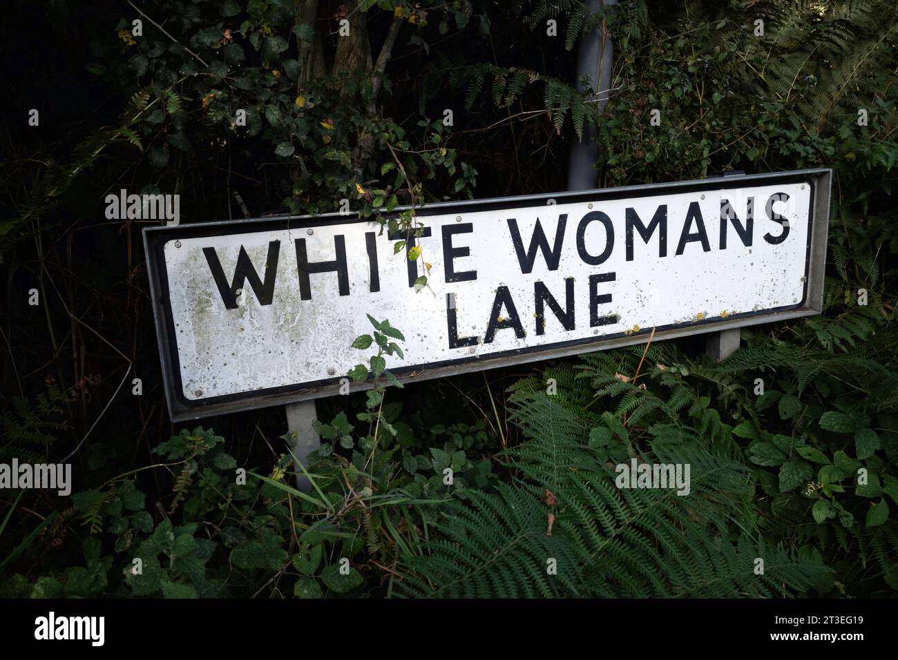 White Womans Lane Eyke Suffolk dice di essere la corsia in cui le donne che lavorano al mulino locale camminavano dopo il lavoro ricoperte di farina Foto Stock