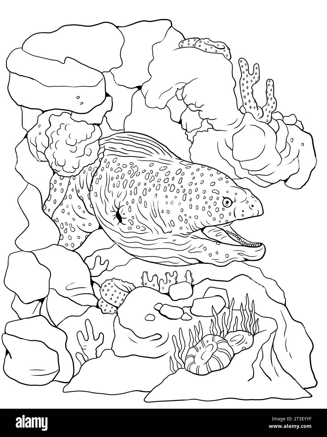 Anguilla Moray da colorare. Modello per un libro da colorare con animali marini. Pagina di colorazione. Foto Stock