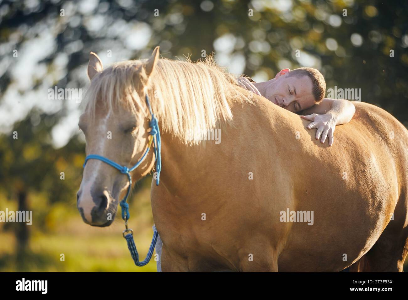 Uomo che mente abbraccia il cavallo da terapia. Temi ippoterapia, cura e amicizia tra persone e animali. Foto Stock