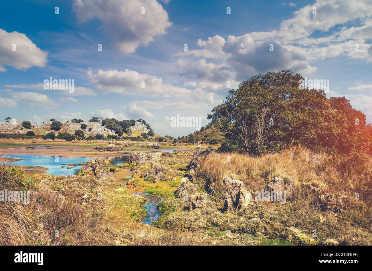 Parco naturale in primavera. Risorse naturali Marisma de Joyel. Arnuero, Cantabria, Spagna Foto Stock