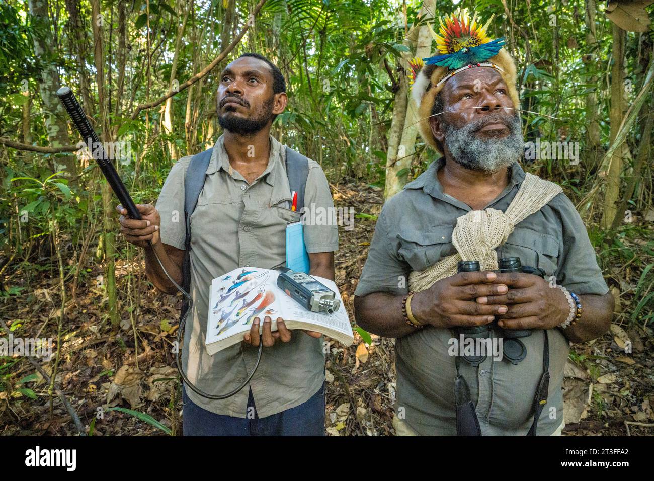 Papua nuova Guinea, provincia di Madang, regione di Madang, villaggio di Baitabag, studio condotto dal team del Centro di ricerca sugli insetti (Binatang Research Center) nel quadro del National Forest Inventory, il capo Papuan Mundiya Kepanga accompagna l'ornitologo Samuel Jepi durante una sessione di registrazione degli uccelli Foto Stock