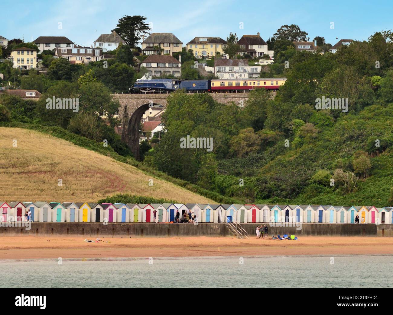 Classe A4 Pacific No 60007 Sir Nigel Gresley attraversa il viadotto di Broadsands con l'English Riviera Express sopra le capanne di Broadsands, South Devon. Foto Stock
